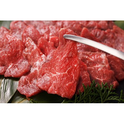 阿蘇うぶやま村の放牧あか牛焼肉セット