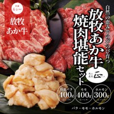 阿蘇うぶやま村の放牧あか牛焼肉堪能セット