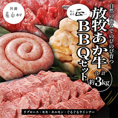 阿蘇うぶやま村の放牧あか牛BBQセット