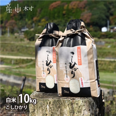【令和7年産新米】阿蘇うぶやまのコシヒカリ10kg(5kg×2袋)