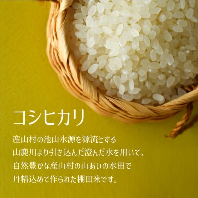 【令和7年産新米】阿蘇うぶやまのコシヒカリ10kg(5kg×2袋)