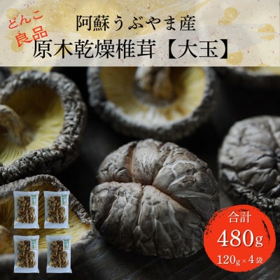 阿蘇うぶやま産 原木乾燥椎茸【大玉】どんこ良品(120g×4袋)