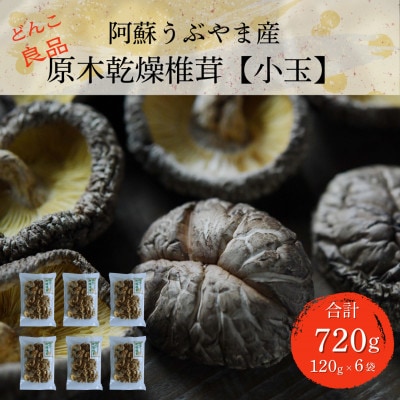 阿蘇うぶやま産 原木乾燥椎茸【小玉】どんこ良品(120g×6袋)