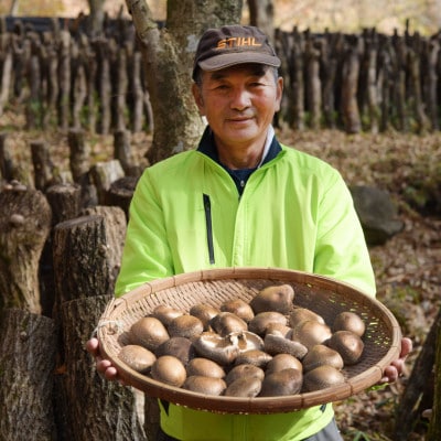 阿蘇うぶやま産 原木乾燥椎茸【小玉】どんこ良品(120g×6袋)