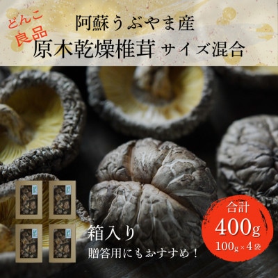 阿蘇うぶやま産 原木乾燥椎茸 箱入り贈答用 どんこ良品(100g小箱入×4袋)