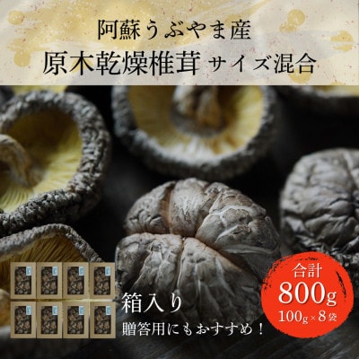 阿蘇うぶやま産 原木乾燥椎茸 箱入り贈答用 どんこ良品(100g小箱入×8袋)