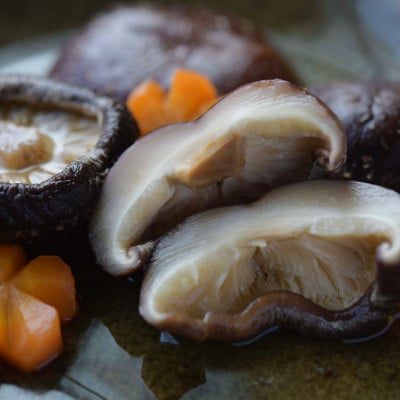 阿蘇うぶやま産 原木乾燥椎茸 箱入り贈答用 どんこ良品(100g小箱入×8袋)