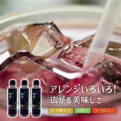 酵素シロップ ブラックベリー・ブラックベリージャム 詰め合わせ