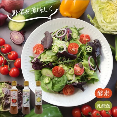 酵素ドレッシング3本セット