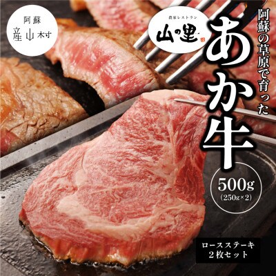 くまもと阿蘇あか毛和牛ロースステーキセット(250g×2枚)【産山村産】