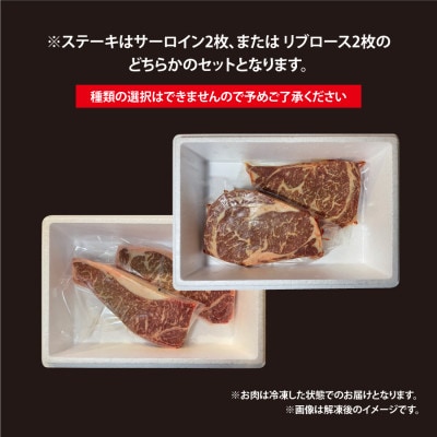 くまもと阿蘇あか毛和牛ロースステーキセット(250g×2枚)【産山村産】