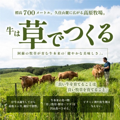 くまもとあか牛 焼肉セット　赤身肉+カルビ(150g×4パック)【産山村産】