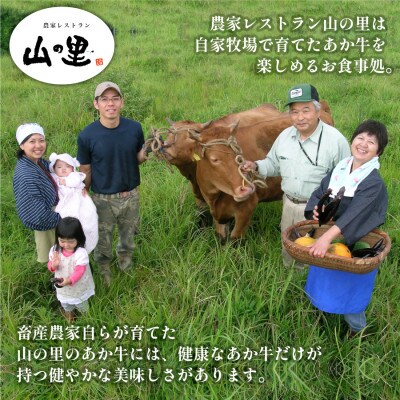 生産者直送!GI認証　くまもとあか牛すき焼き・しゃぶしゃぶ用1kg(500g×2パック)