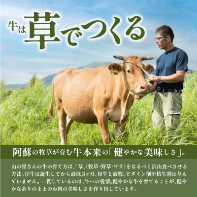 生産者直送!GI認証　くまもとあか牛焼き肉用1kg(500g×2パック)