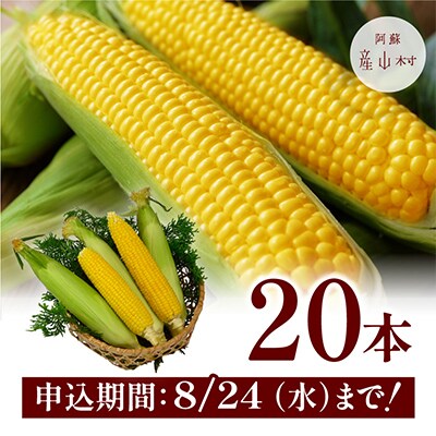【先行受付】採れたてスイートコーン(ゴールドラッシュ)20本セット
