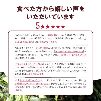 《今が旬!》朝採れスイートコーン(ゴールドラッシュ)18本セット