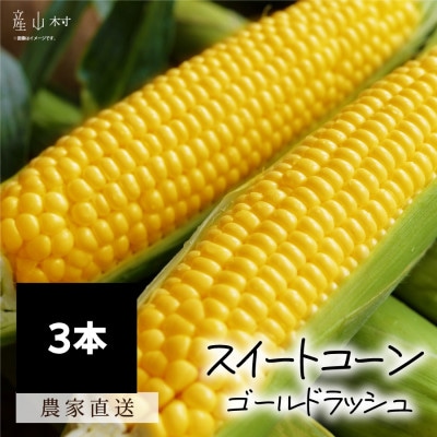 《先行予約》朝採れスイートコーン(ゴールドラッシュ)3本セット