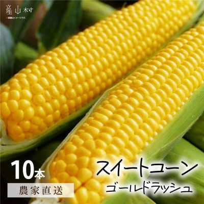 《先行予約》朝採れスイートコーン(ゴールドラッシュ)10本セット