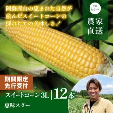 【先行受付】採れたてスイートコーン(恵味スター)3L・12本セット 【糖度目安:約17度】