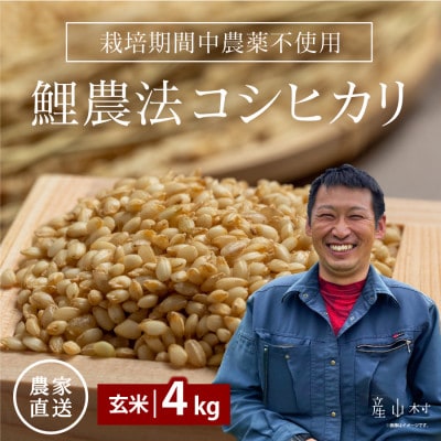 【令和6年産】鯉農法 コシヒカリ(玄米)4kg