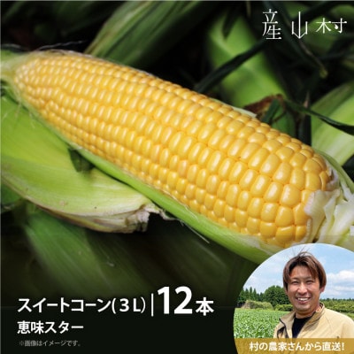 《先行予約!7月中旬順次発送》スイートコーン(恵味スター)3L・12本セット 【糖度目安:約17度】