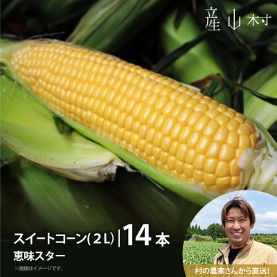 《先行予約!7月中旬順次発送》スイートコーン(恵味スター)2L・14本セット 【糖度目安:約17度】