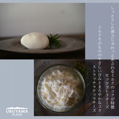 【阿蘇産山村】産山チーズ2個セット