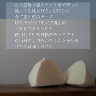 【阿蘇産山村】モッツァレラチーズ3個セット