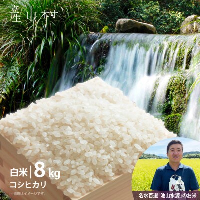 【令和5年産】うぶまい(コシヒカリ　白米)8kg〈阿蘇の名水　池山水源米〉