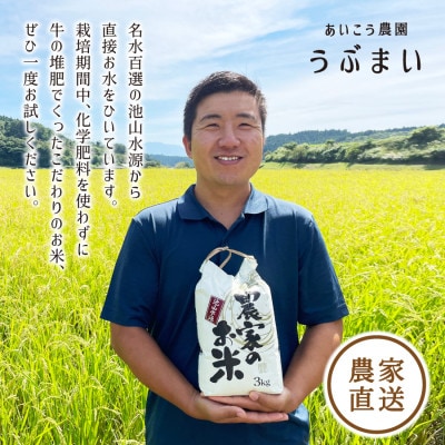 【令和5年産】うぶまい(コシヒカリ　白米)8kg〈阿蘇の名水　池山水源米〉