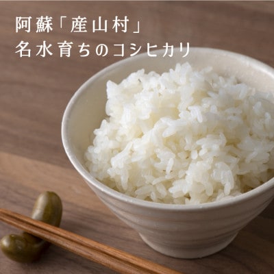 【令和5年産】うぶまい(コシヒカリ　白米)8kg〈阿蘇の名水　池山水源米〉