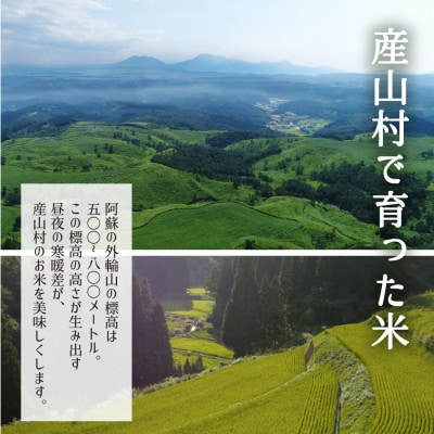 【令和5年産】うぶまい(コシヒカリ　玄米)8kg〈阿蘇の名水　池山水源米〉