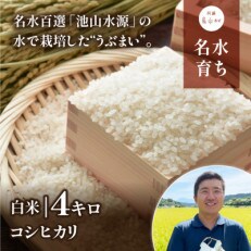 【令和4年産】うぶまい(コシヒカリ　白米)4kg〈阿蘇の名水　池山水源米〉 | ふるさと納税のお礼品