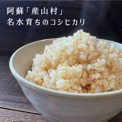 【令和5年産】うぶまい(コシヒカリ 玄米)2kg・うぶあま(甘酒)4本セット