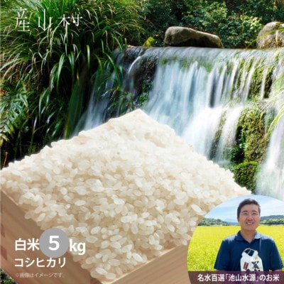 【令和8年産新米】うぶまい(コシヒカリ白米)5kg《阿蘇の名水 池山水源米》