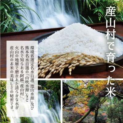 【令和8年産新米】うぶまい(コシヒカリ白米)5kg《阿蘇の名水 池山水源米》