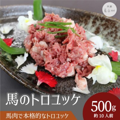馬のトロユッケ　500g(産山村)