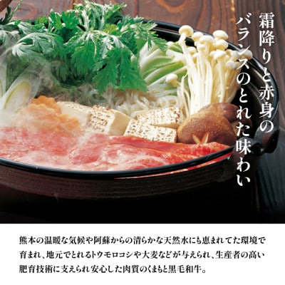 くまもと黒毛和牛　すき焼き用　500g(産山村)