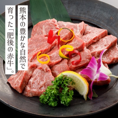 肥後の赤牛　焼肉用　1000g(産山村)