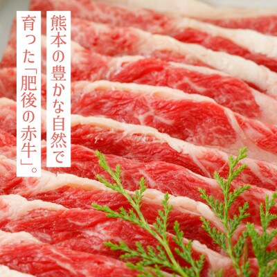 【毎月定期便】肥後の赤牛　すきやき用　500g(産山村)全6回