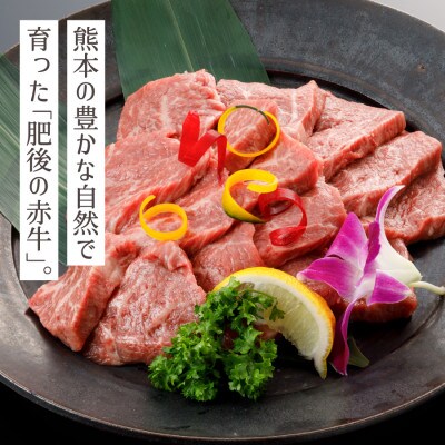 【毎月定期便】肥後の赤牛焼肉用　500g(産山村)全6回