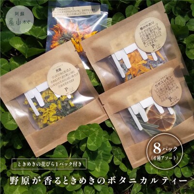 ドリップタイプのハーブティーで癒しの時間を 野原のボタニカルティーセット