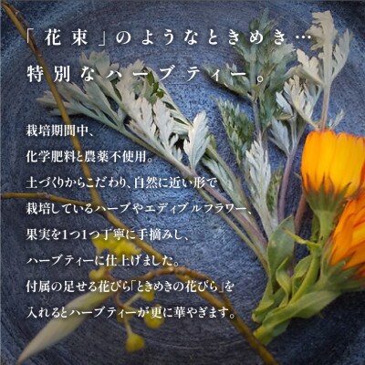 ドリップタイプのハーブティーで癒しの時間を 野原のボタニカルティーセット