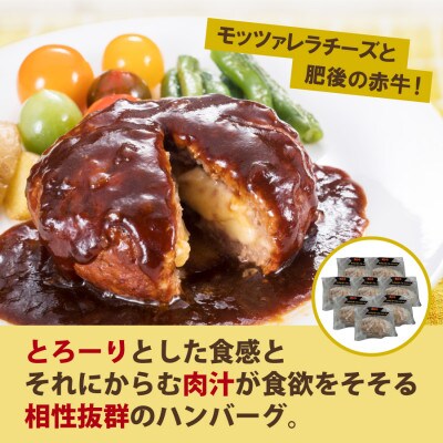 肥後の赤牛のチーズインハンバーグ (150g×8個)(産山村)