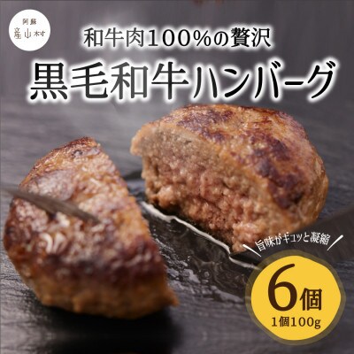 黒毛和牛ハンバーグ(約100g×6個)