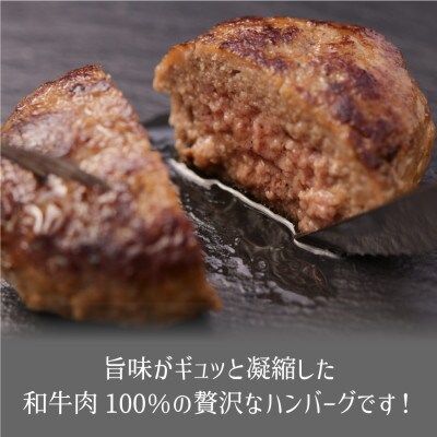 黒毛和牛ハンバーグ(約100g×6個)