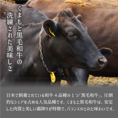 くまもと黒毛和牛・切り落とし約1000g