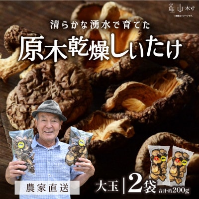 阿蘇・産山村産　原木乾燥しいたけ大玉200g(100g×2)