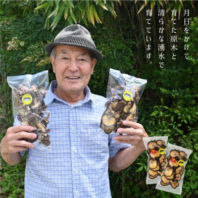 阿蘇・産山村産　原木乾燥しいたけ大玉200g(100g×2)