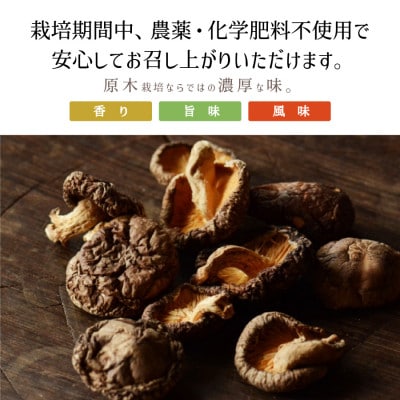 阿蘇・産山村産　原木乾燥しいたけ大玉200g(100g×2)